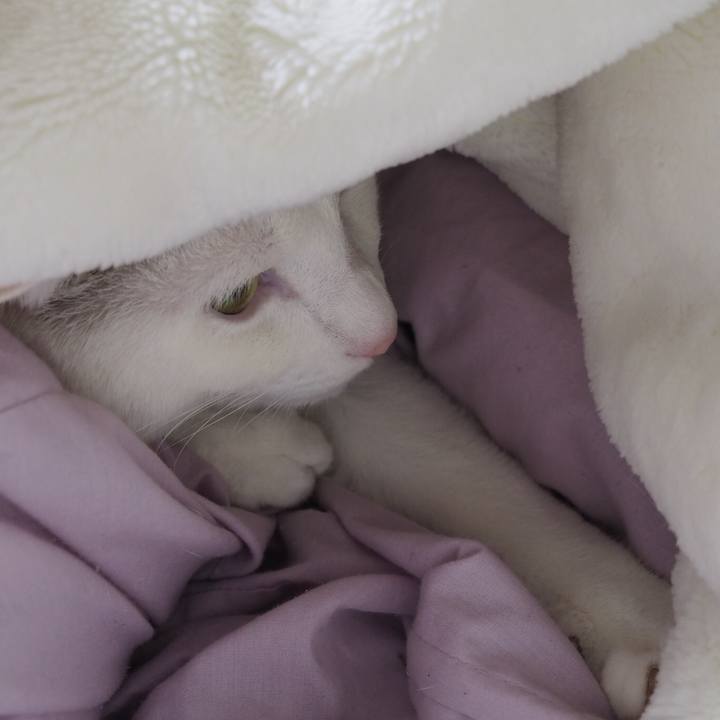 9e43636c e063 4469 933f ecd414f512c8 1523167277894