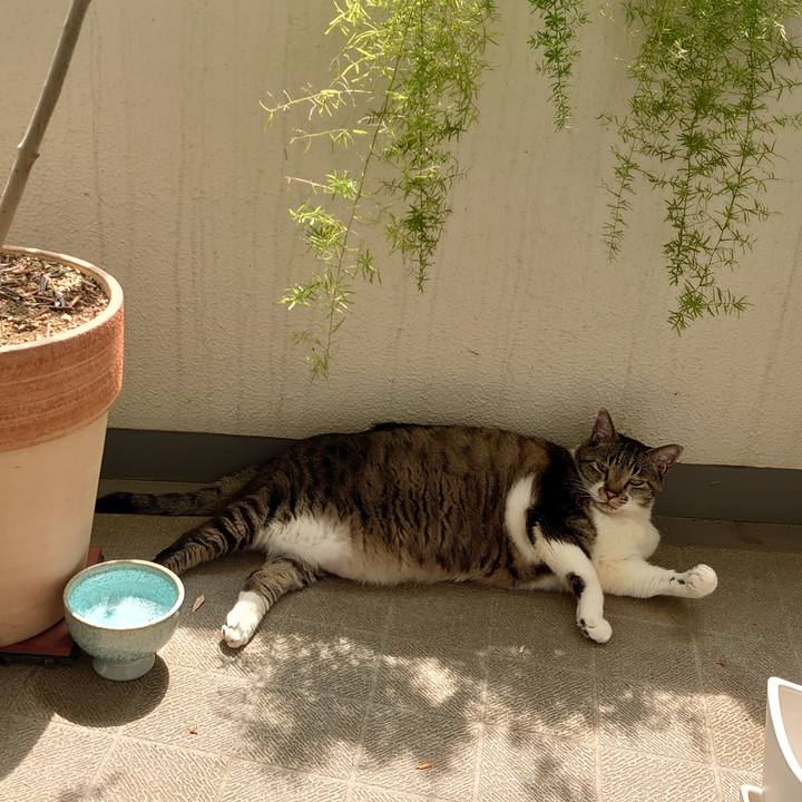 9e436edb f63d 4a0c 9c84 811d7c4dfe39 1687309042317