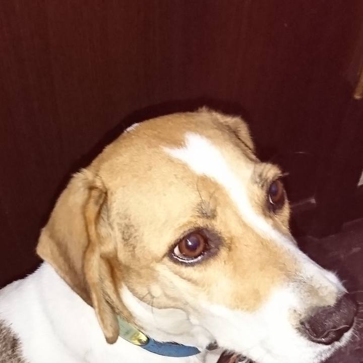 9e436f1f fce0 4bc9 ad13 bb9a97cfdfdf 1574392409922