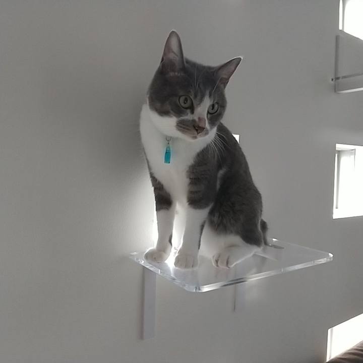 9e439e68 501b 430a 8e59 ec433f2bb8f1 1629338425012