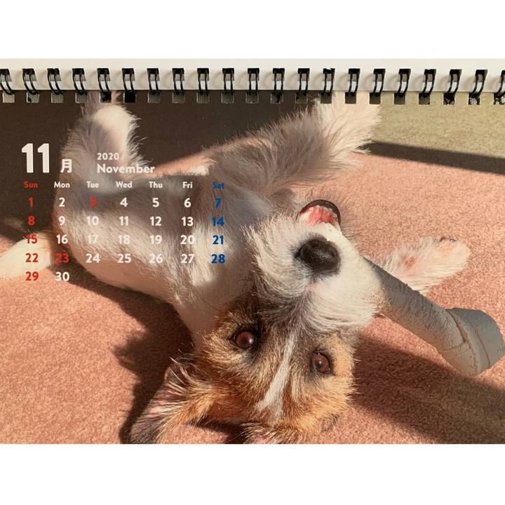 9e43a1d5 74d7 40af 8a20 16fc94f26ebb 1606699603746