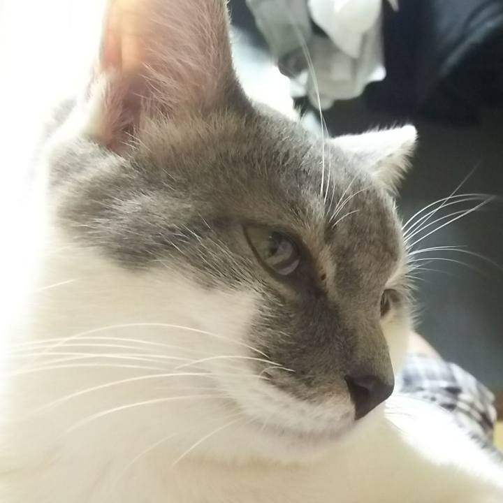 9e43bb59 e27f 4a4f 9904 7d4fde5614f8 1516539932536