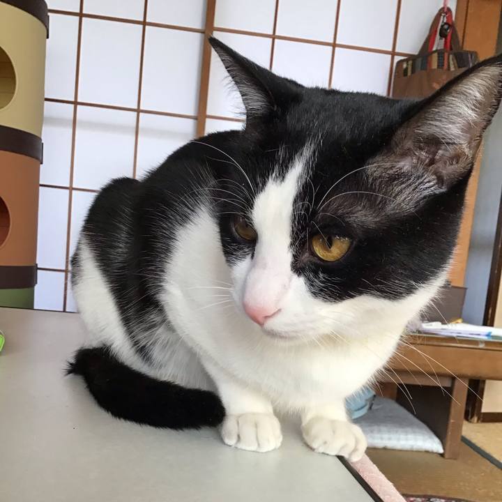 9e440ccd b1f0 4640 a916 27c5976d6305 1647314856924