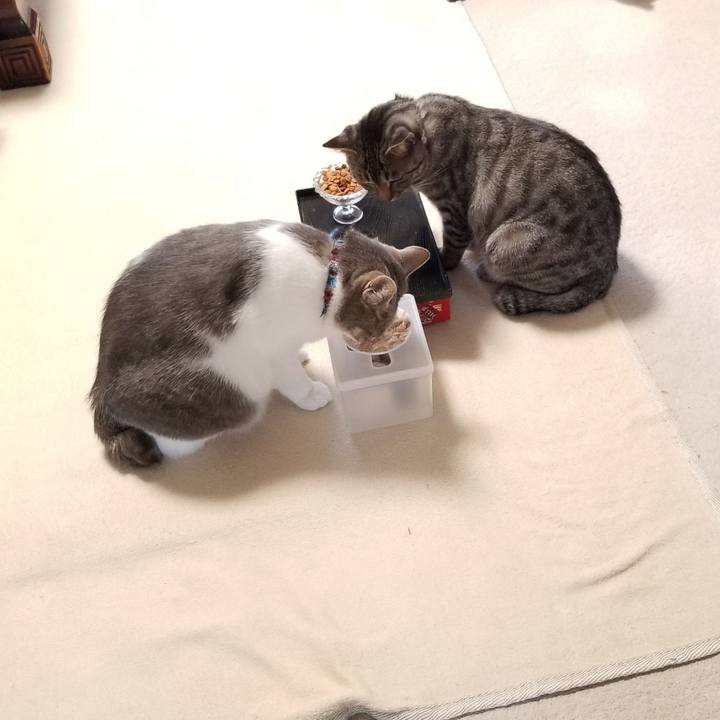 9e4422a6 ed51 47a2 a591 e22cb329705c 1684021597746