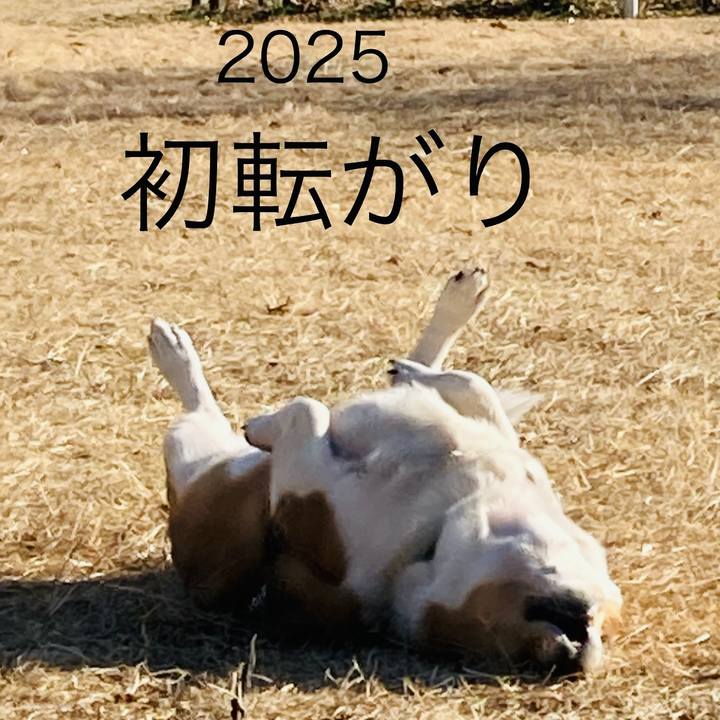 9e447d34 9913 4d81 beda a0df26d0c555 1735807927249