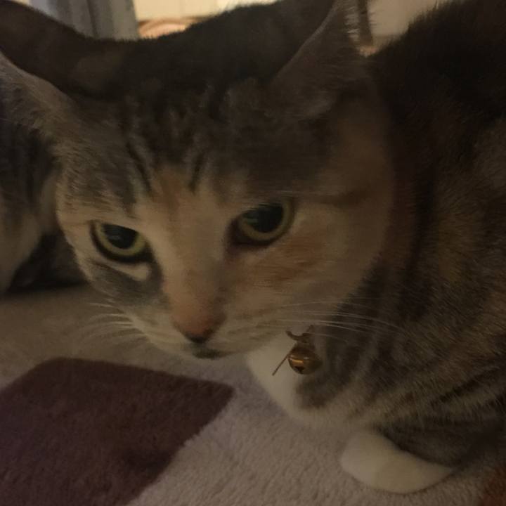 9e450957 a51d 4b66 a953 1d24e80d92cd 1551972838827