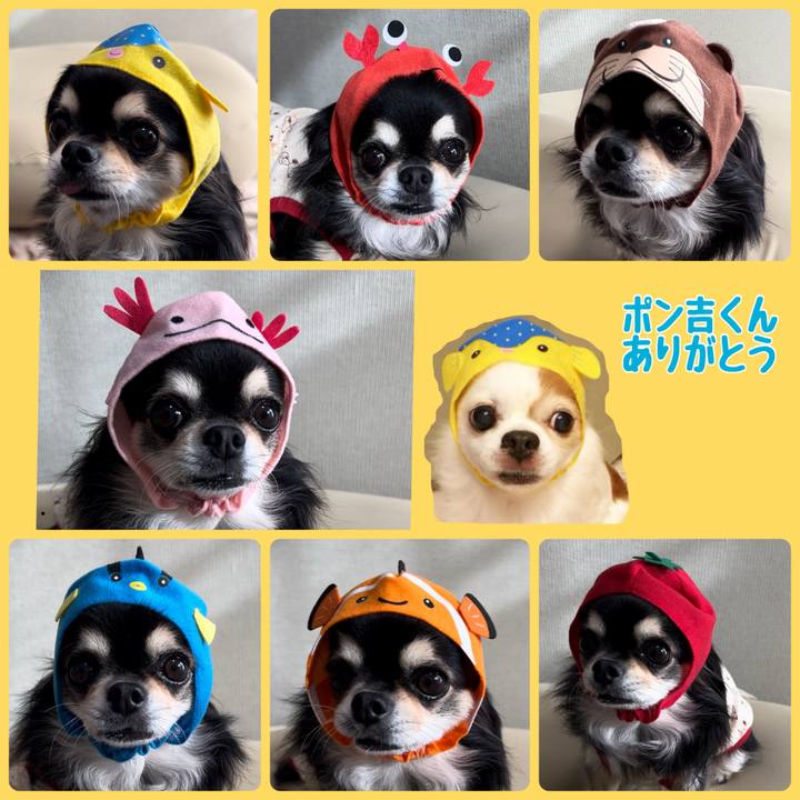 9e451753 5848 4391 9e01 89939a1704c6 1700974997393