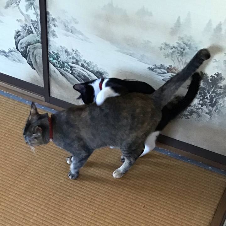 9e453646 af63 4fa7 8032 ab79812390d3 1628145685422