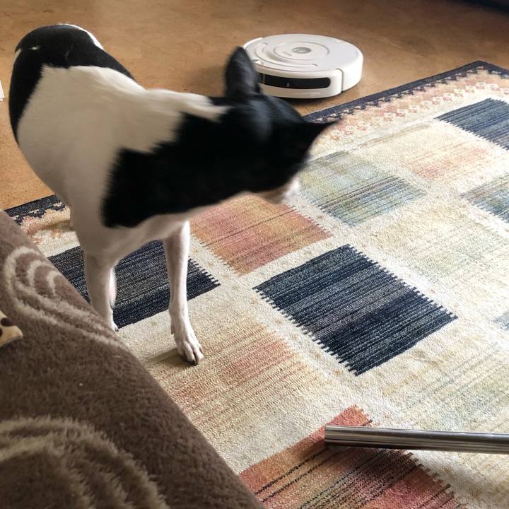 9e4578c0 8004 4dc9 afa4 772e02329a27 1552179219562