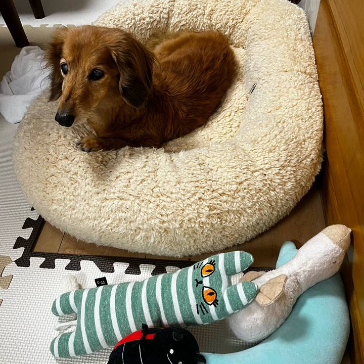 9e45b07f c99d 4443 88ed 46cd58b6ef39 1658932395899