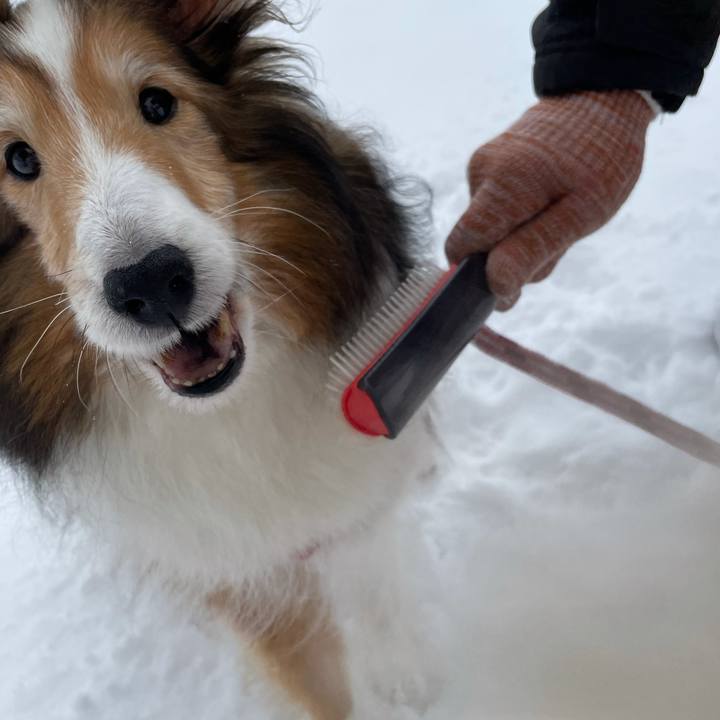 9e45da2d a869 4685 90c5 2e00a7ccee3b 1614064386120