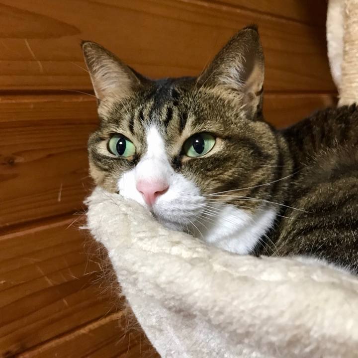 9e4612ad 5d92 4102 bfab 45f67f1fed8e 1552900734174