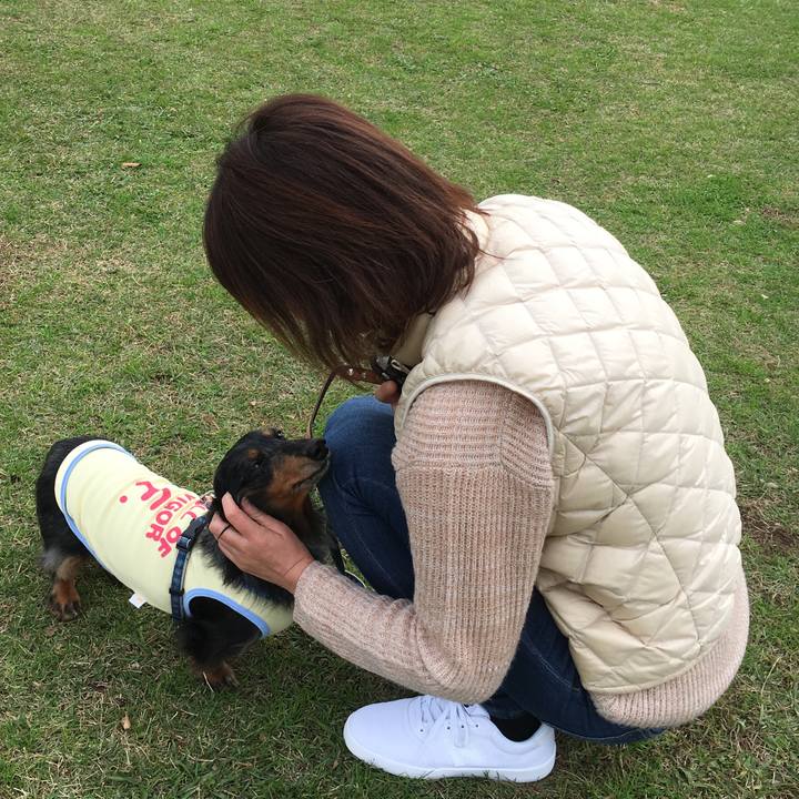 9e4633b5 db7f 49d0 be57 42b85d3ed9fd 1543051520777