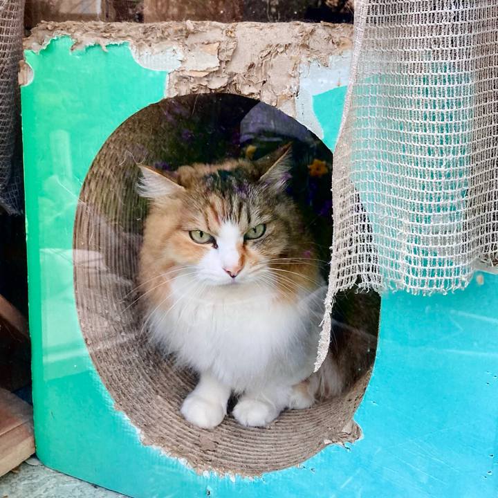 9e466022 a431 4b58 8924 fe09f57ebc02 1650614515779