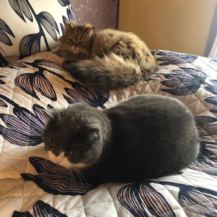 9e46753f fe8d 4830 a0f3 77892a4bdc46 1586751592381