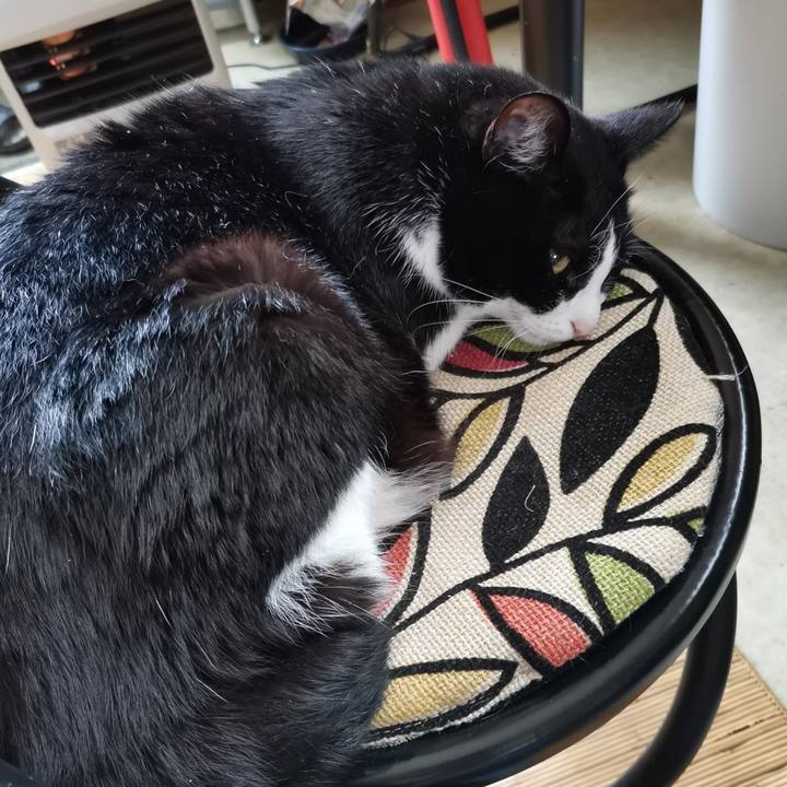 9e467f73 0bf0 41f7 8577 9dff371f2b45 1712726603950