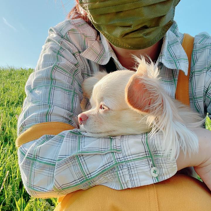 9e46ca6f 22aa 4c37 91e0 688d03e30358 1649237228282