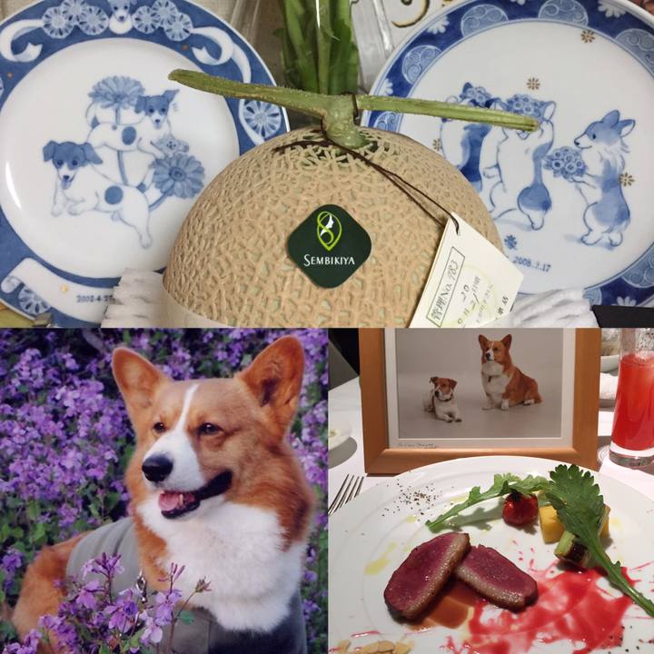 9e46d7be f15d 4580 9ecf 2d8775e1c7ac 1550400457716