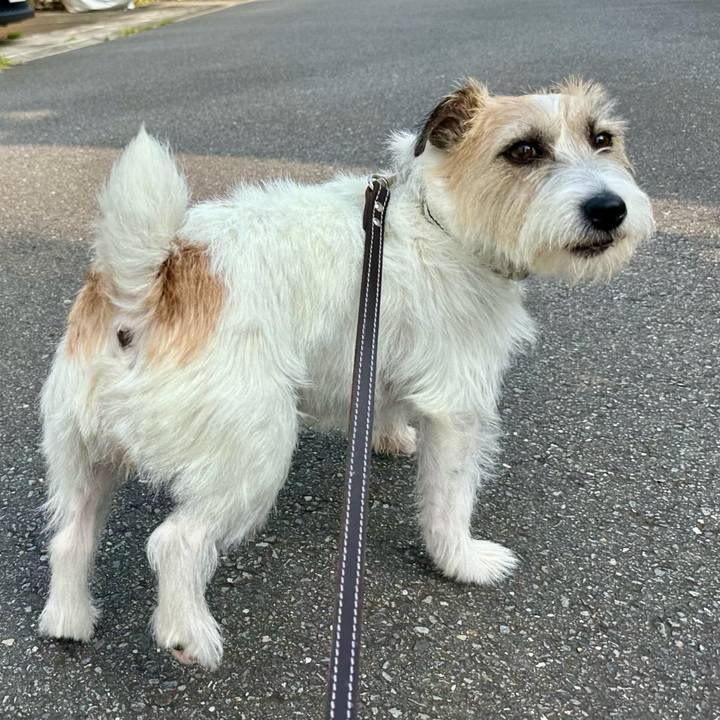 9e46da74 63dc 42d7 8ac6 f6af48f4cb03 1751783856024