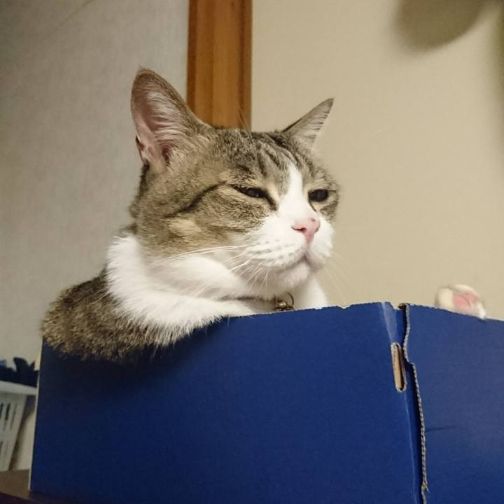 9e47371e 54ab 4734 a747 9c4e37f48353 1563184219778