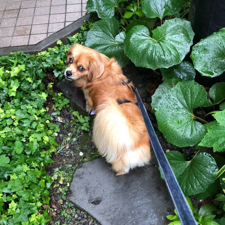 9e478e50 7c80 40d9 baf6 472ed67af9fe 1528492614154