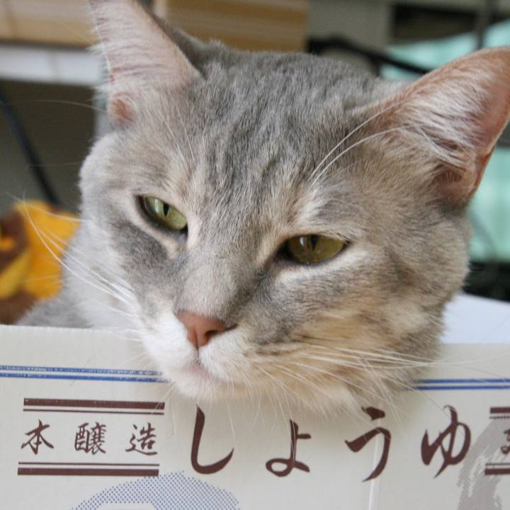 9e47b1a4 9395 4e20 933d 26b5237e887e 1526545867871