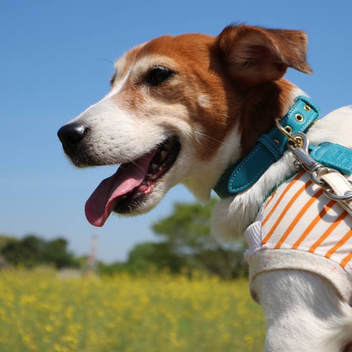 9e47bc3b 54c2 406b 8566 5983cd2fbf23 1524392370213