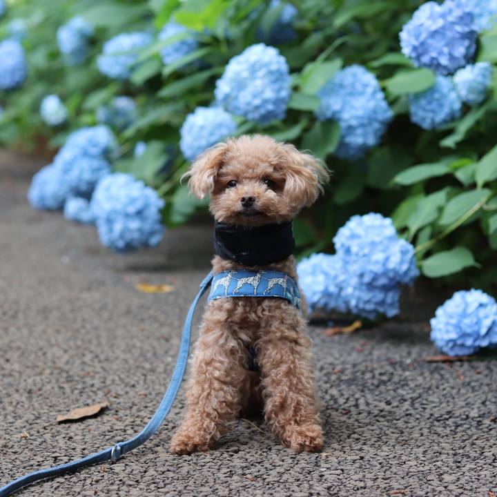 9e47ccf2 9793 4463 acde 8fb846b5b787 1560088798910