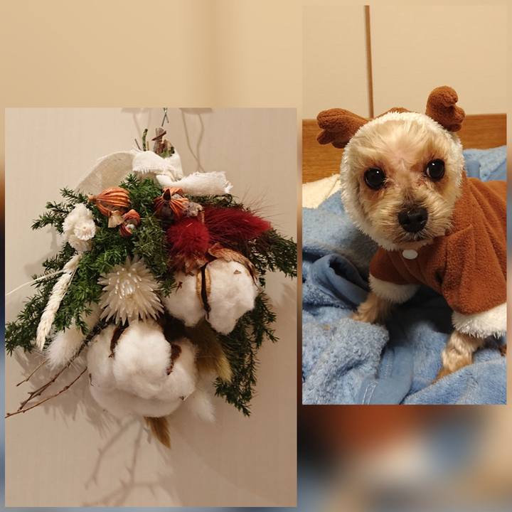 9e47d569 9b86 47a1 bbc7 ede93b554ccf 1606634617306