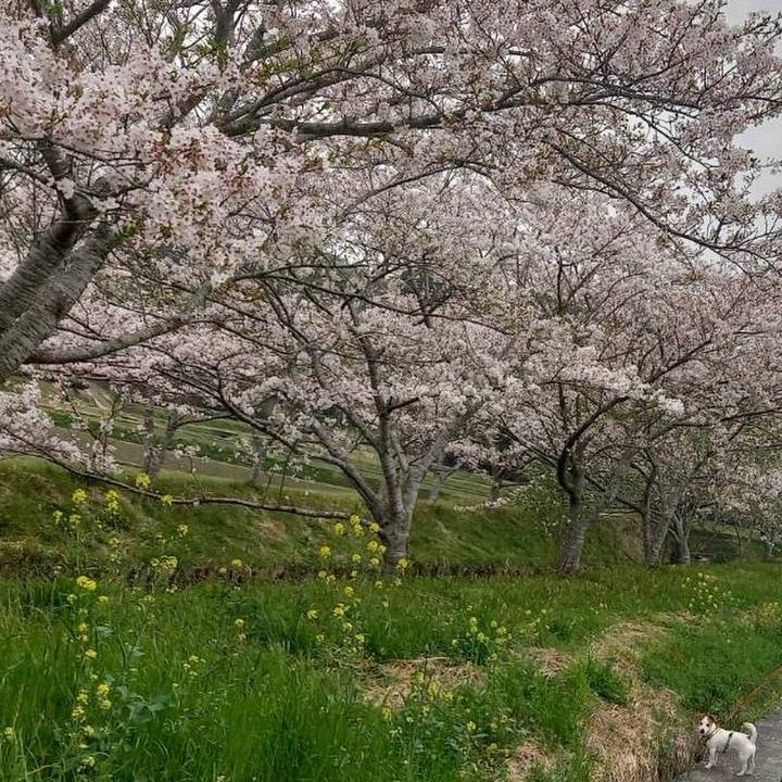 9e47e746 24f4 41ea 9f4d eff255775d58 1617159906811