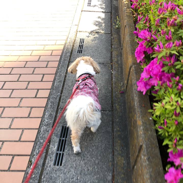 9e47ee7c 0e59 4503 8975 0726277b0a9c 1556574056126