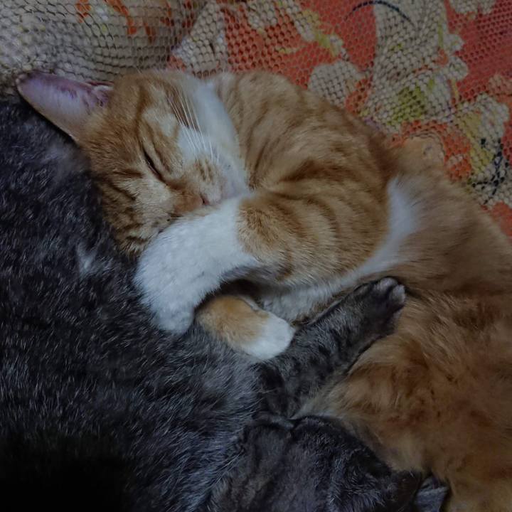 9e48278a 4219 47b0 bd31 37c94c3d72d3 1577801710077