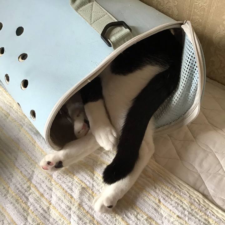 9e48361f 70e3 4e9a abc2 2679d0187bf4 1666133559693