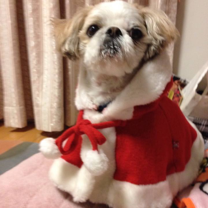 9e4838a1 2138 446e ac88 0770778f4943 1514109880471