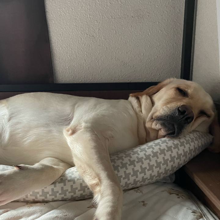 9e48708e 4a49 4279 a5a3 1e76aff629cc 1713917267389