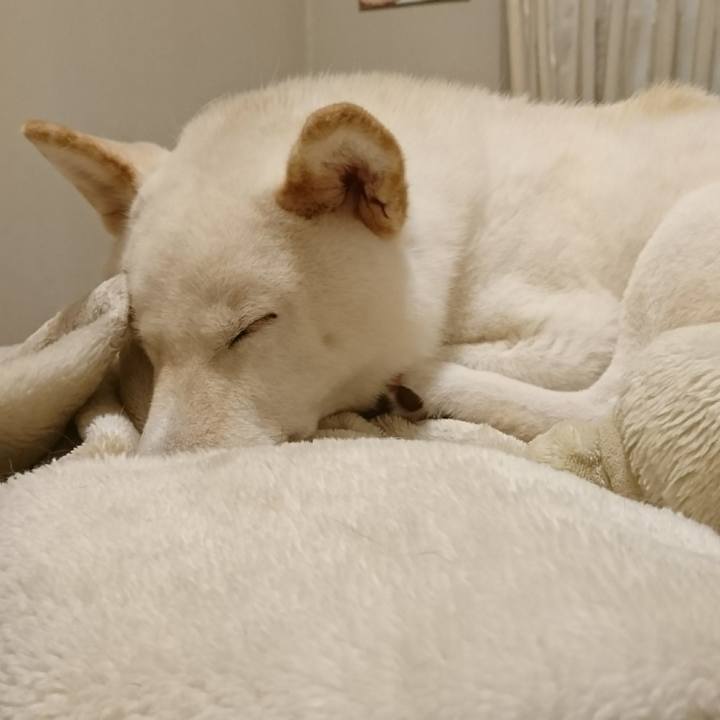 9e487cd8 921a 4c25 8f5a bf4fe428a3c6 1548894163542