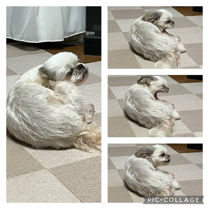 9e488298 9a21 44f9 8fdd ee0fccd74f5d 1661305422220