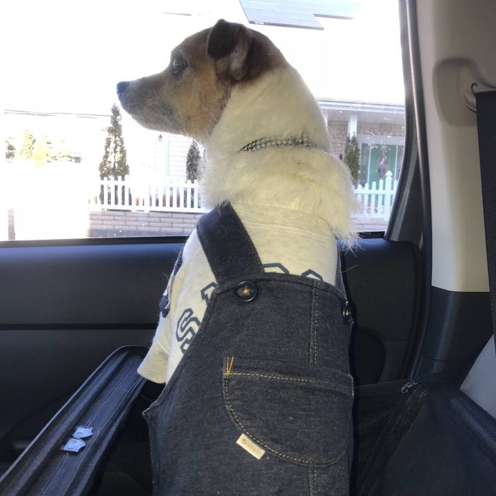 9e489f93 074e 4188 950f 09083575758e 1515026195084