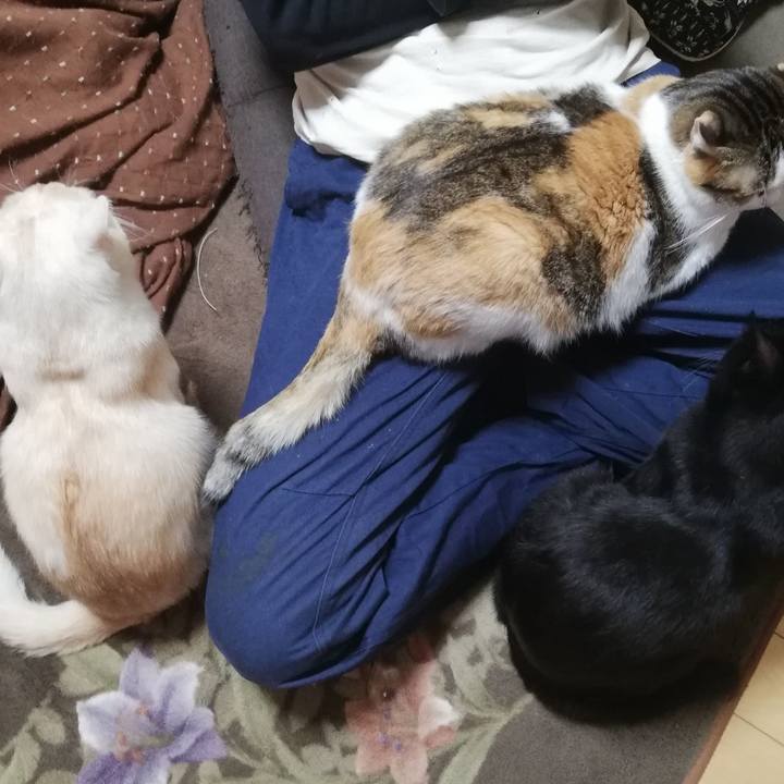 9e48a254 19e6 4f2a a019 440ab0bb7b14 1705531168197