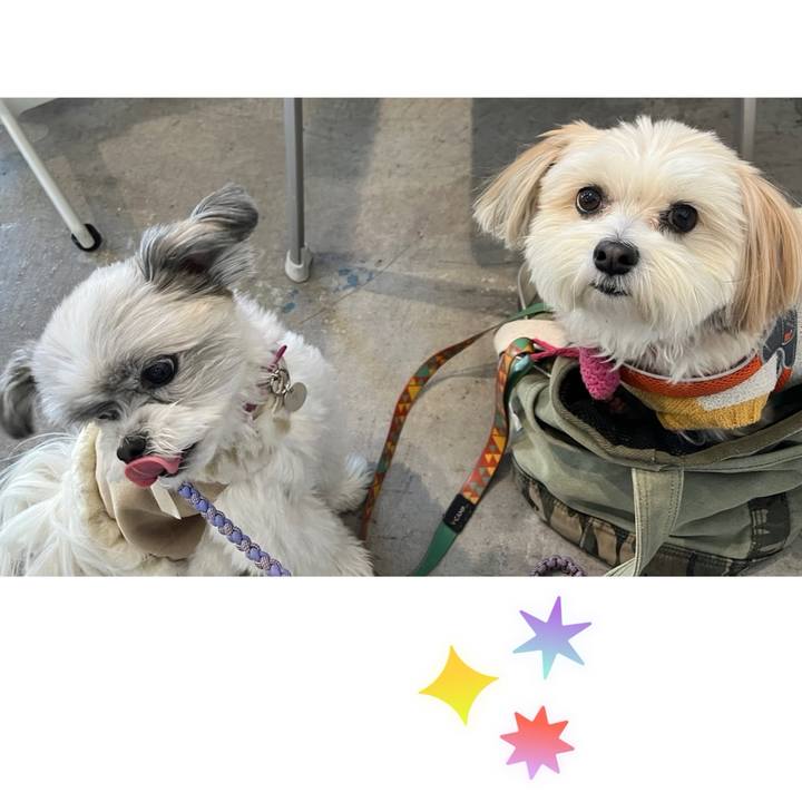 9e48d073 8c44 441e 9bc3 bcc28a3c135c 1734911589677