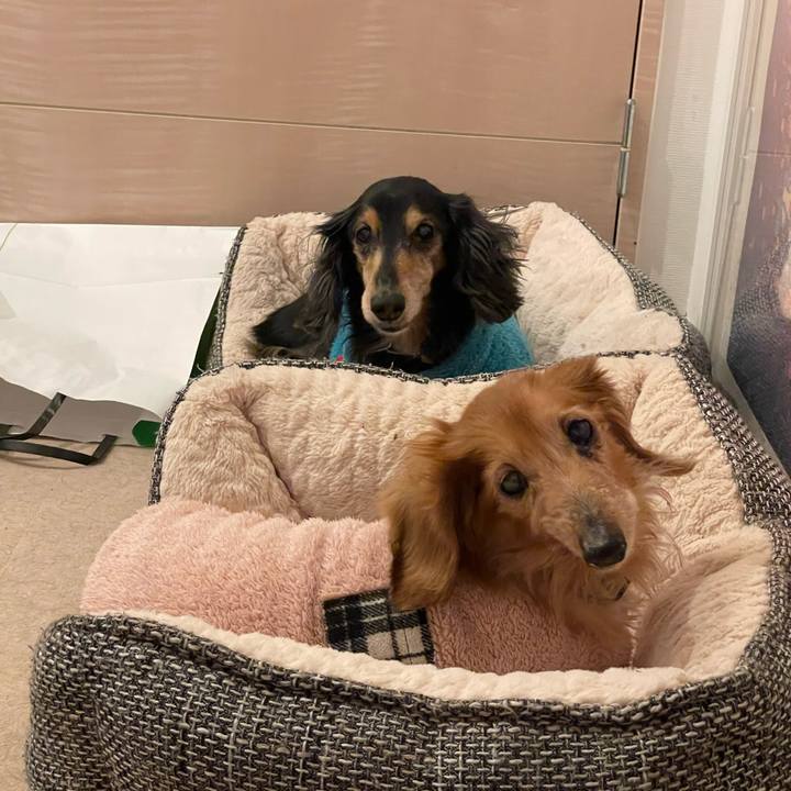 9e48dd8a ac19 4bc3 abad 0ff3d64c5f63 1676855948938