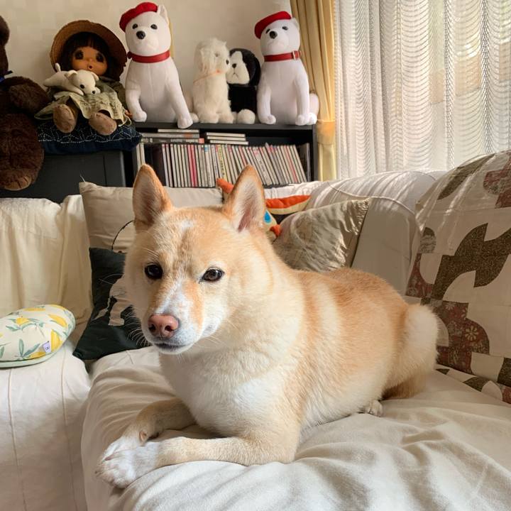 9e490ea9 11b3 44ef a750 68bd9091e53a 1630030281123