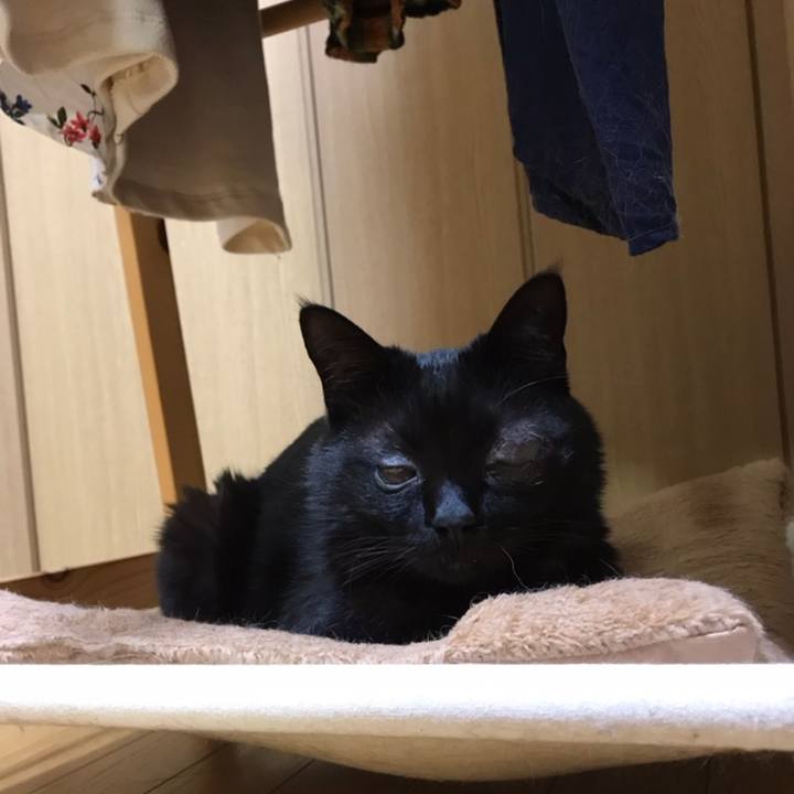 9e49116d eb26 490d a646 7cfe3e3b84b0 1558147044069