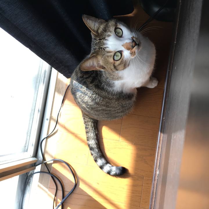 9e491905 7cb5 48bd abb1 9632670e720c 1512996213807