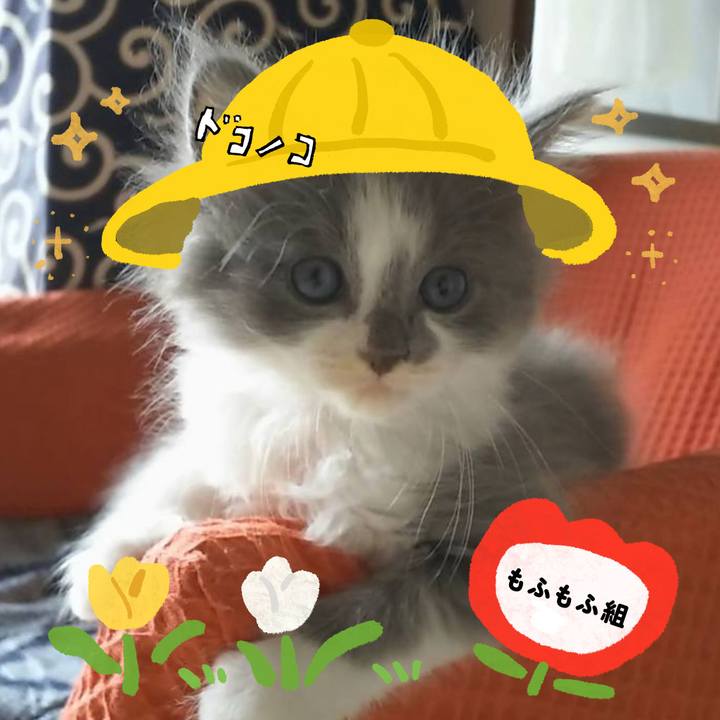 9e495d16 cfb9 41ae bee4 40bb96f5b582 1712219508225