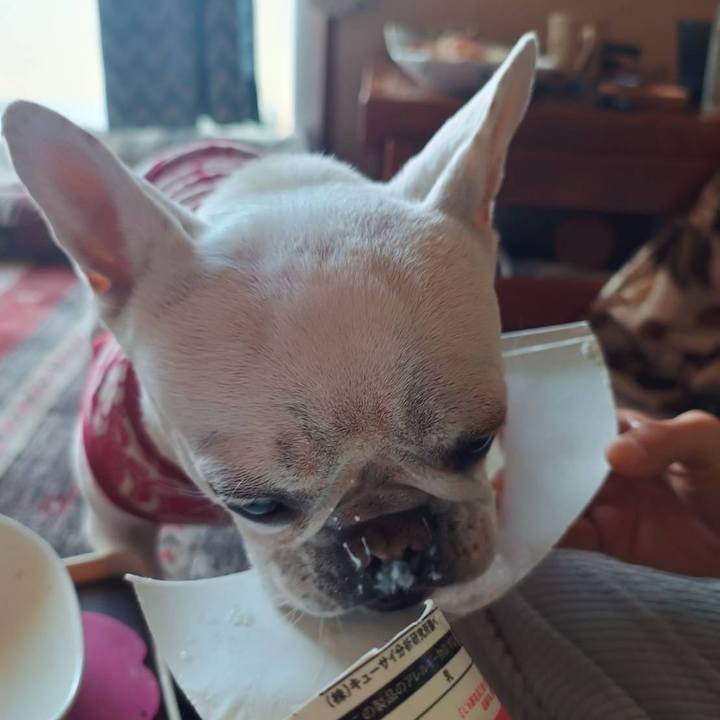 9e496a6e 90cf 4747 8328 a30ea60fc92f 1740698106637