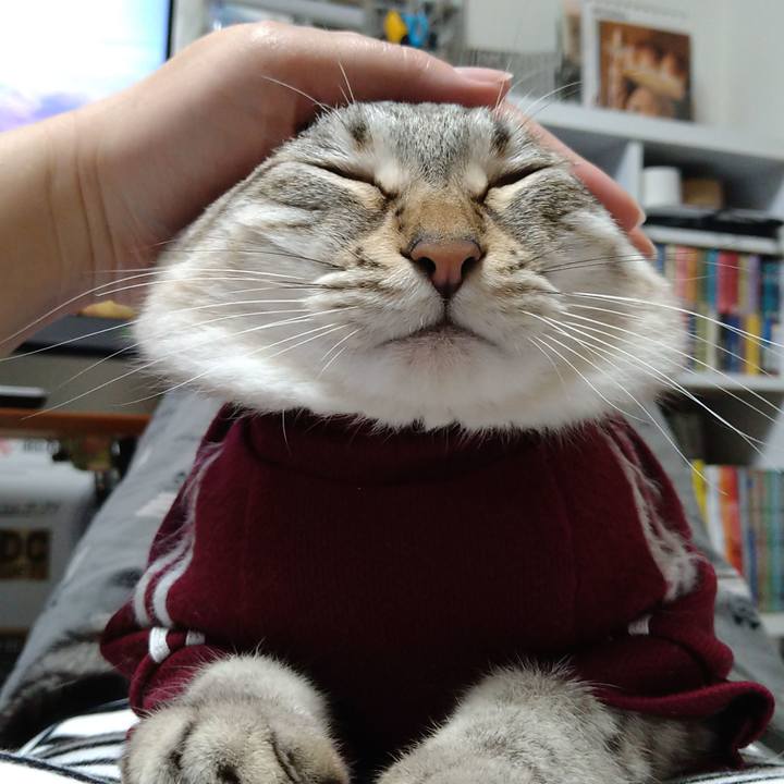 9e49758c 1190 4c74 9f0b e55dfeee73e3 1684763916947