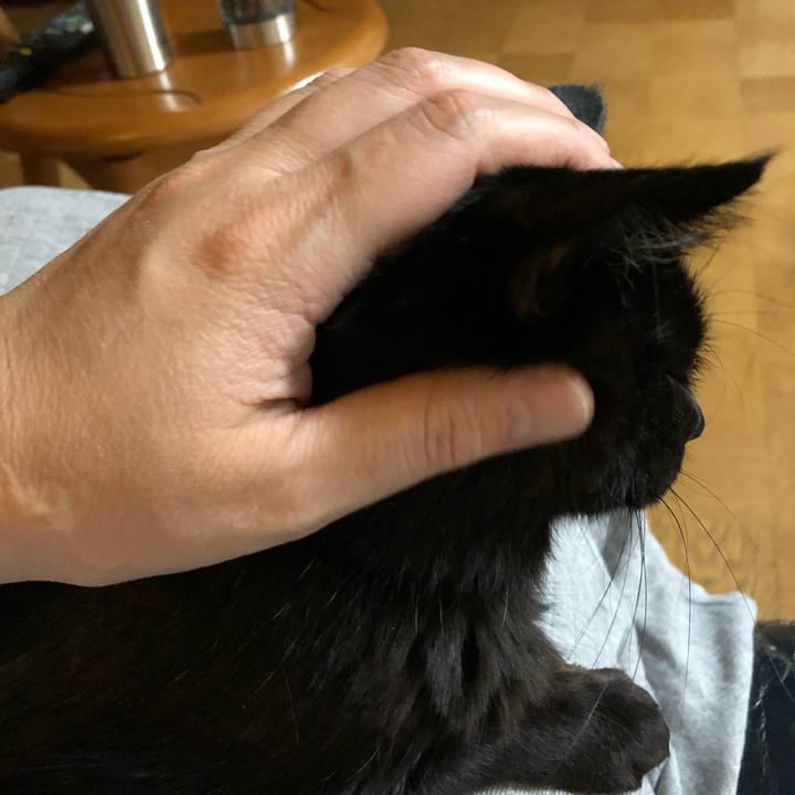 9e49a328 69ab 4393 9882 c90182286eee 1583752375782