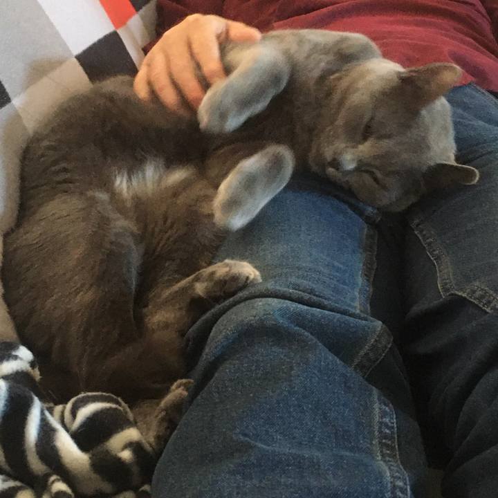 9e49b9b3 6966 4f9a b571 4cd4053fc38b 1651018306140