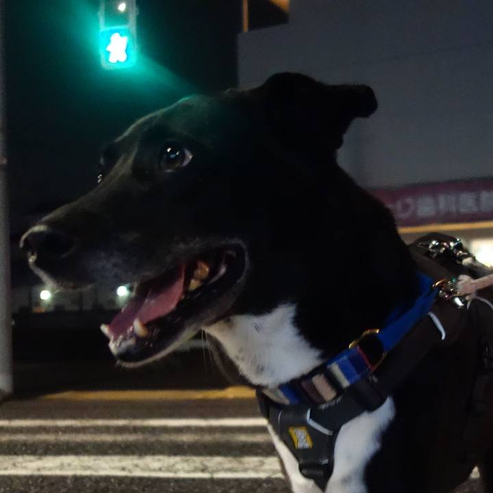 9e49ef84 e973 4484 9b15 1419ff1d6955 1665055557487